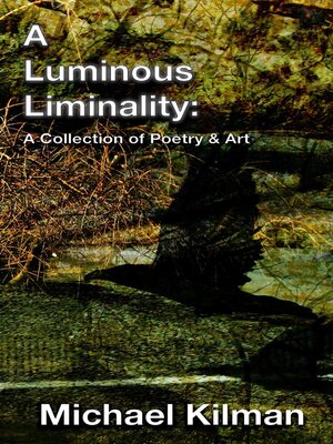 cover image of A Luminous Liminality